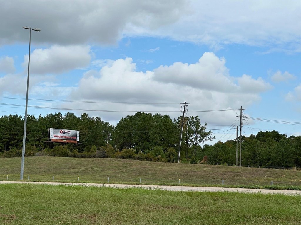 Picture 14