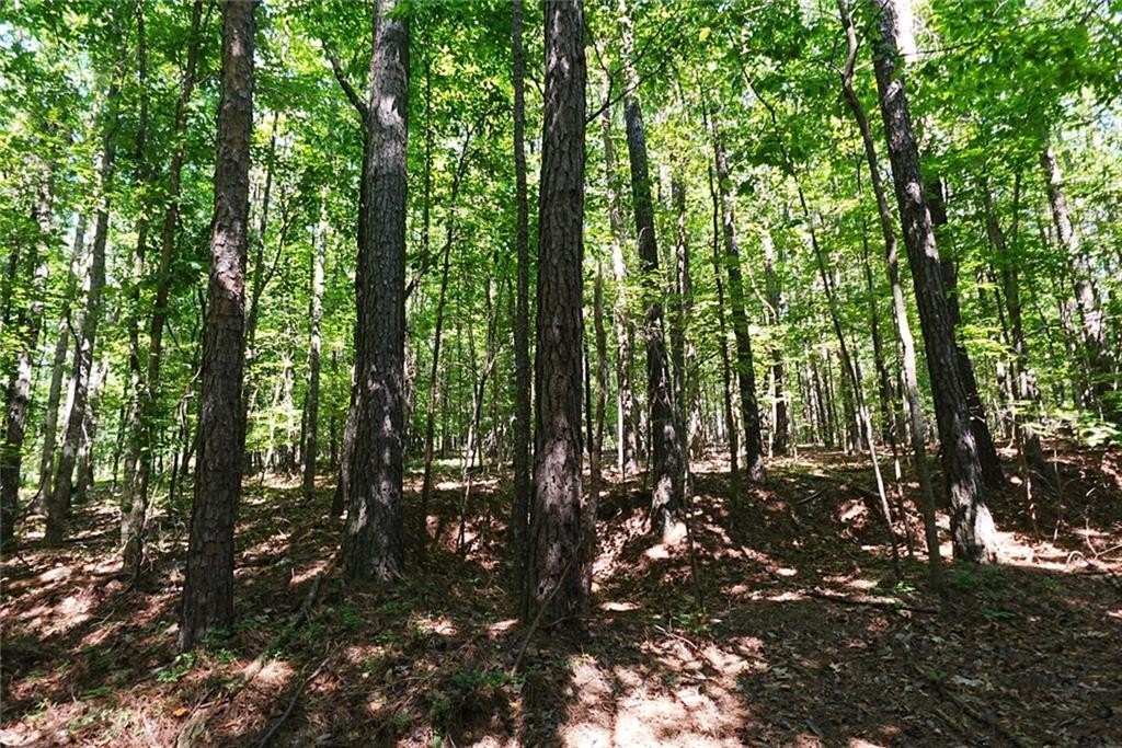 Picture 19