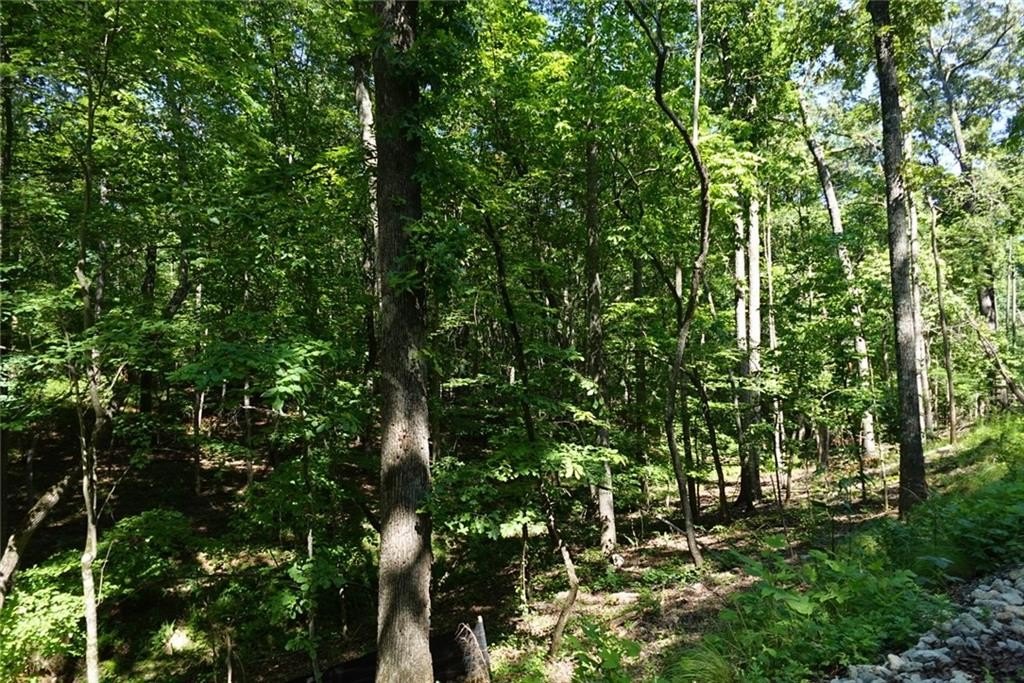 Picture 8