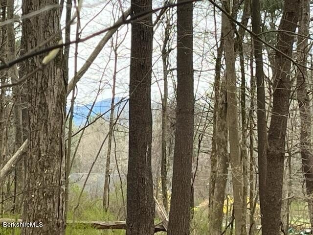 Private Lot in Great Barrington