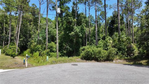 LAND - PALM COAST, FL
