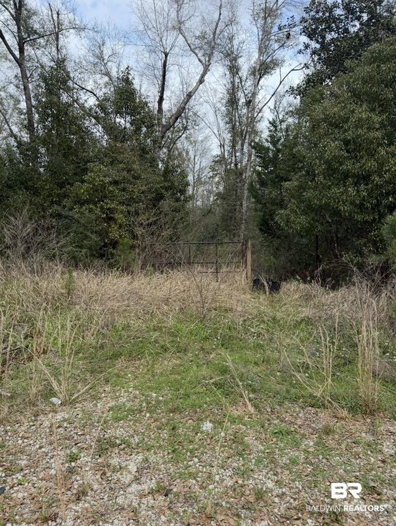 Picture 3