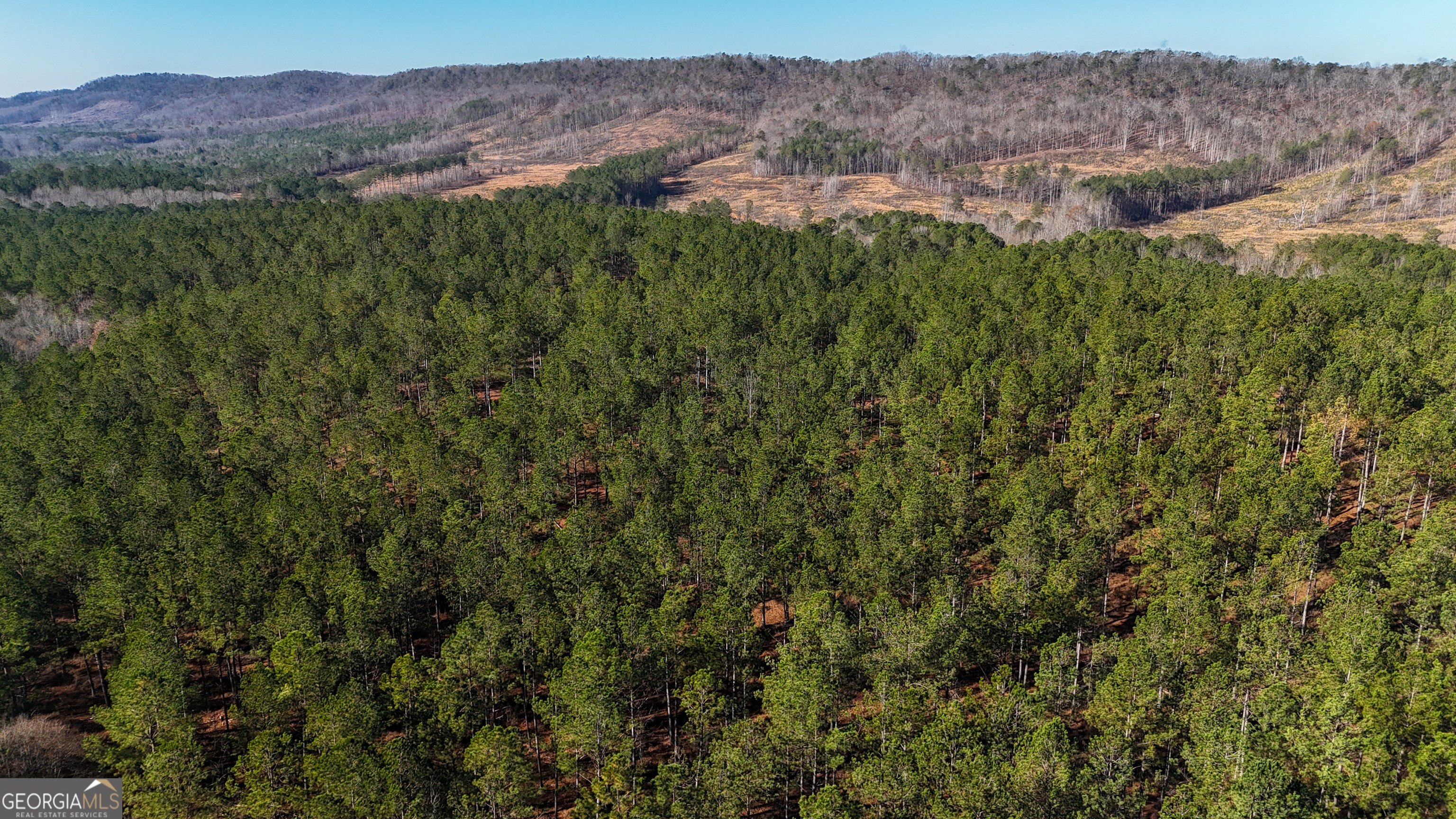 Lyerly, GA Land For Sale