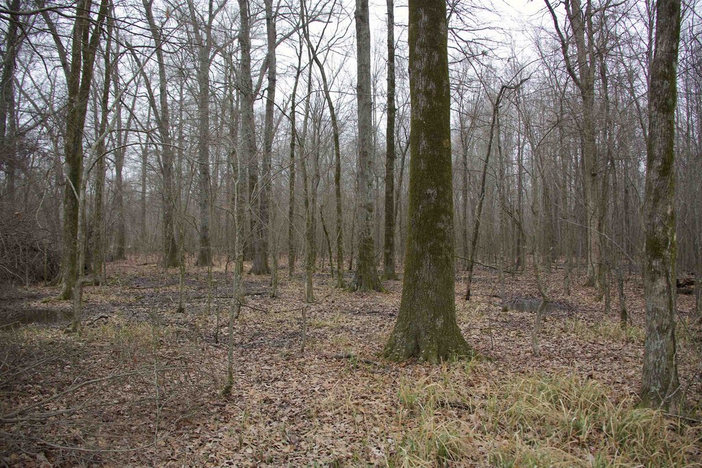 Picture 29