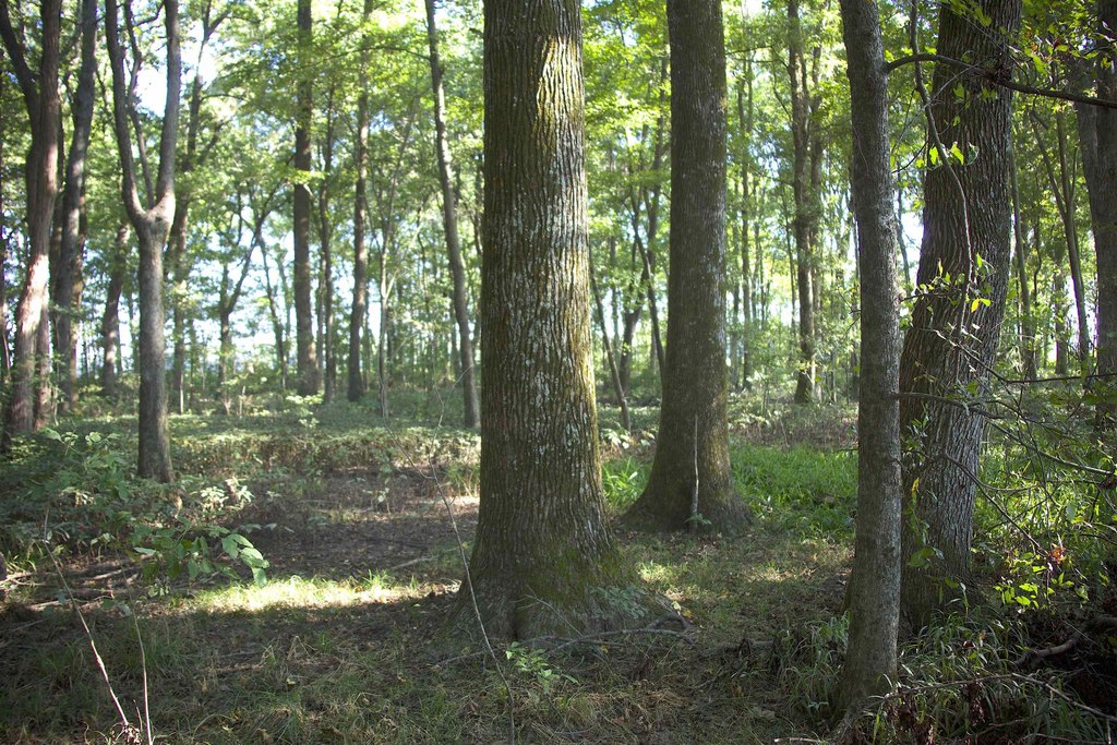 Picture 5