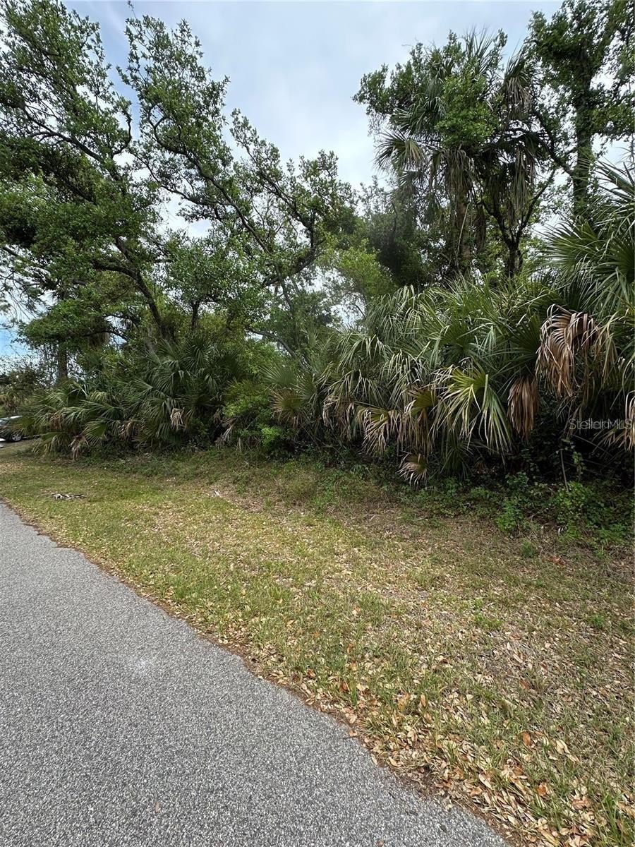 Residential Lot in North Port