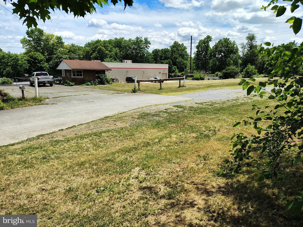 Picture 15