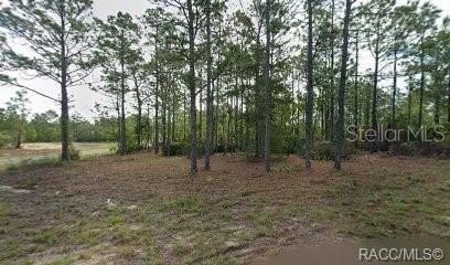 Land, CITRUS SPRINGS, FL