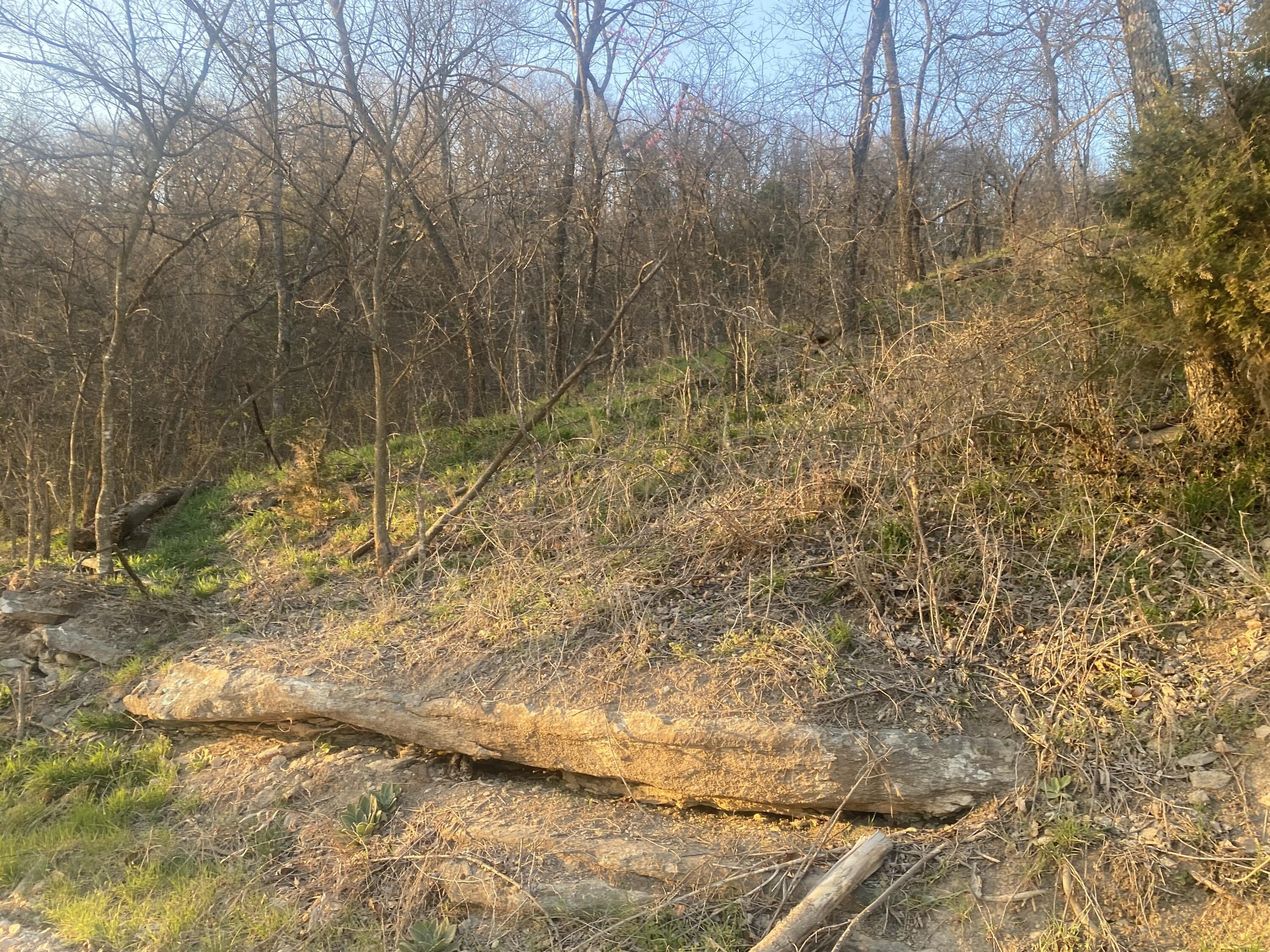 20 Acres Overlooking Whitewater Creek