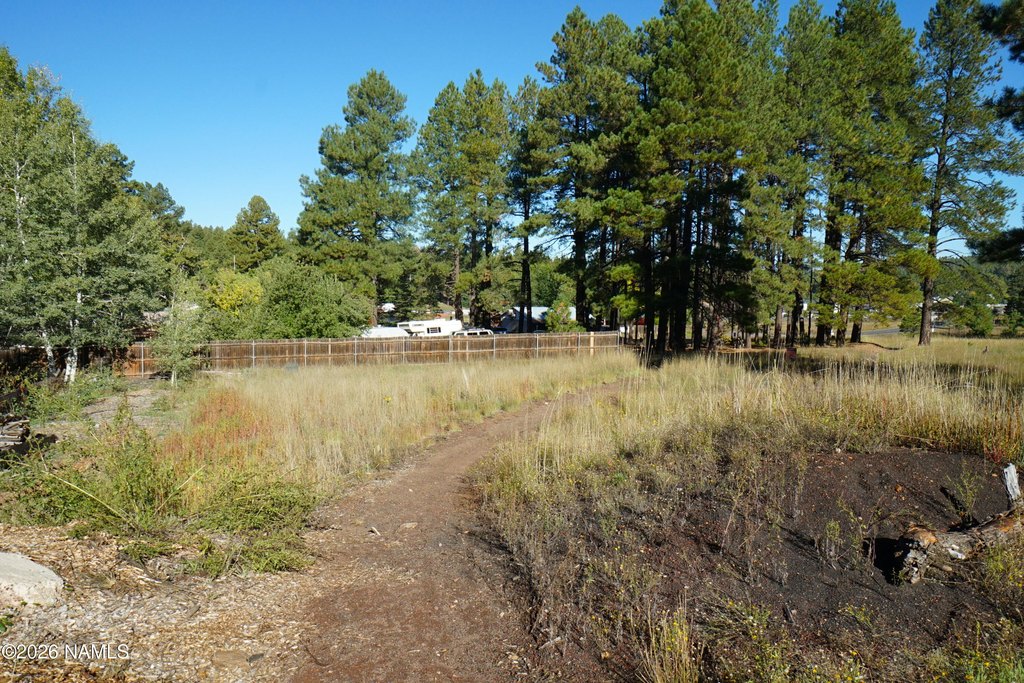 Picture 4