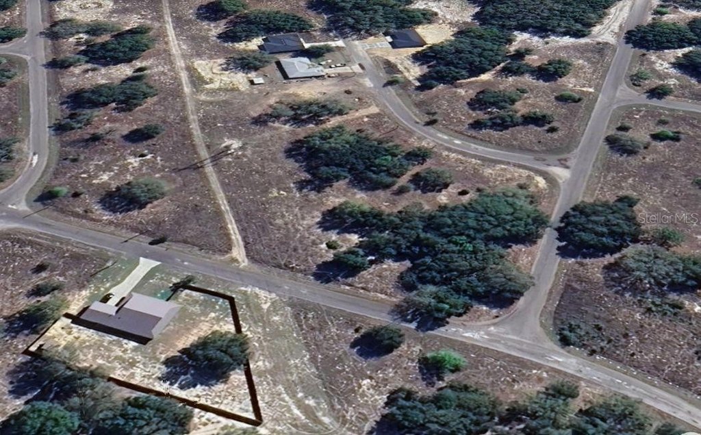 Picture 3