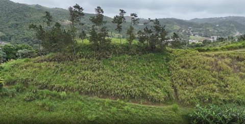 Land in Barranquitas Helechal Neighborhood