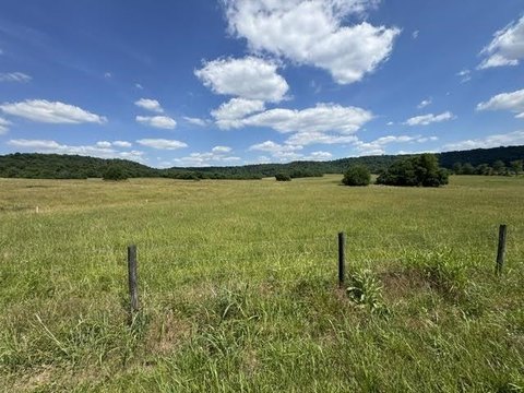 LAND - Horse Cave, KY