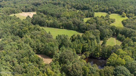 Land Near Holly Springs Forest