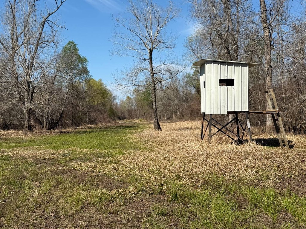 Picture 16