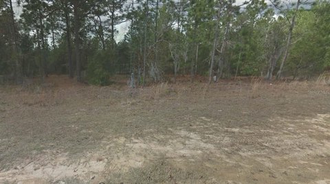 Land For Sale in Interlachen