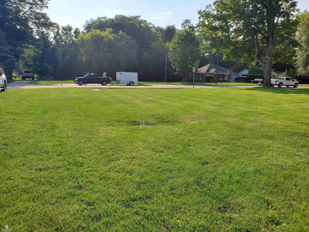 Picture 5