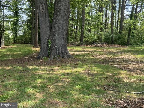 Residential Lot in Piney Point