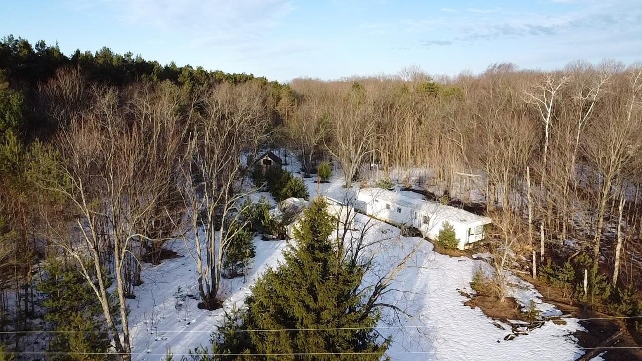 Wooded Acreage in Benzie County