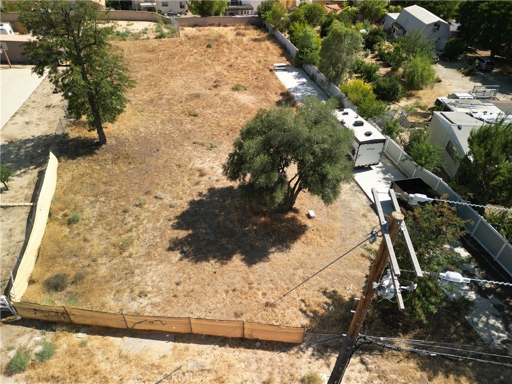 Picture 5
