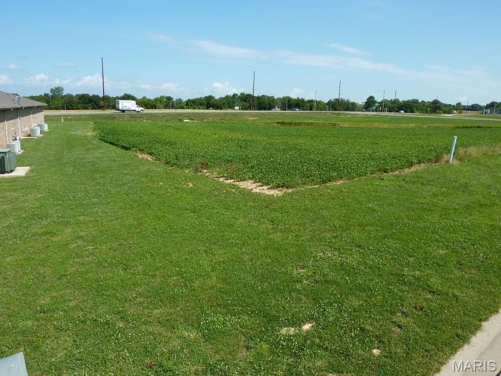 Picture 2