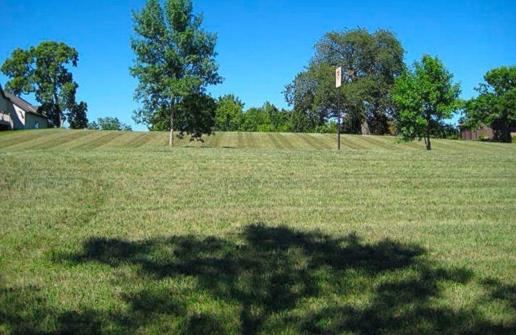 Picture 19