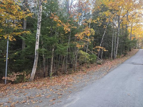 Land, Swanville, ME