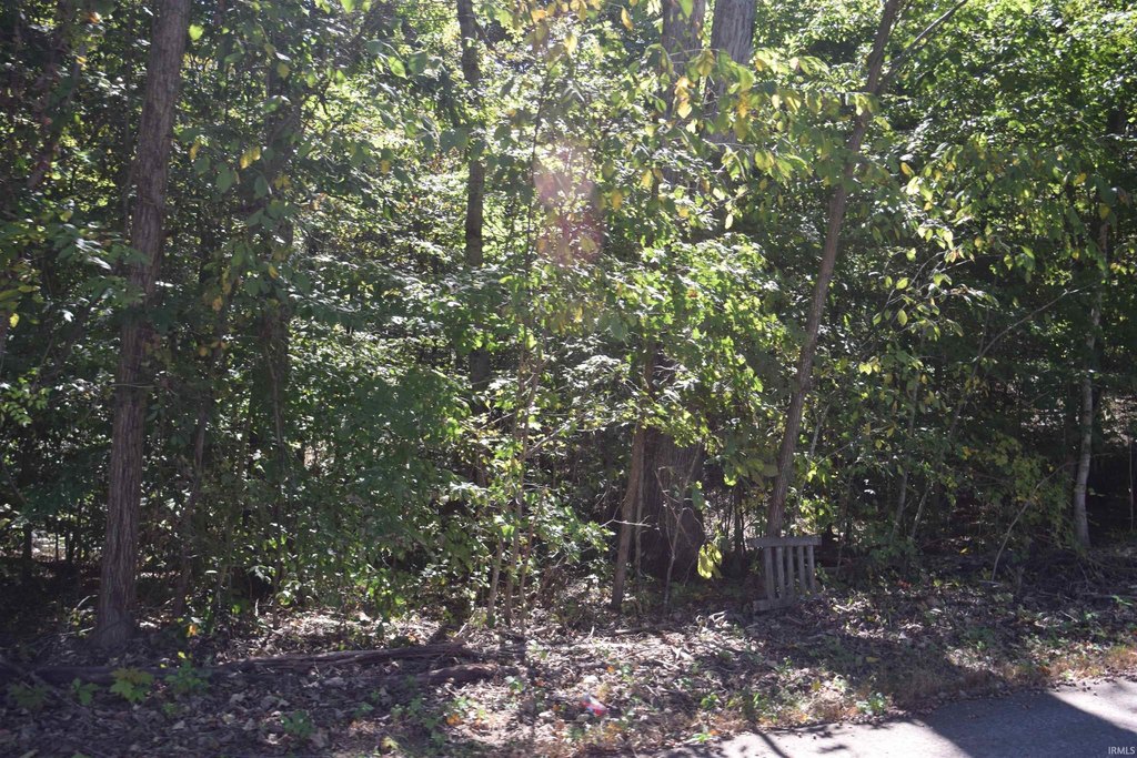 Picture 5