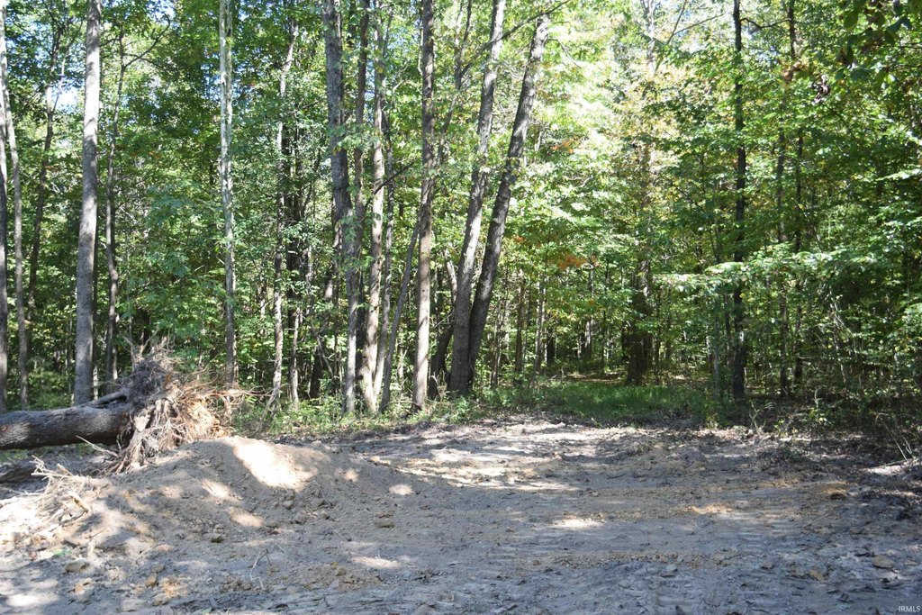Picture 9