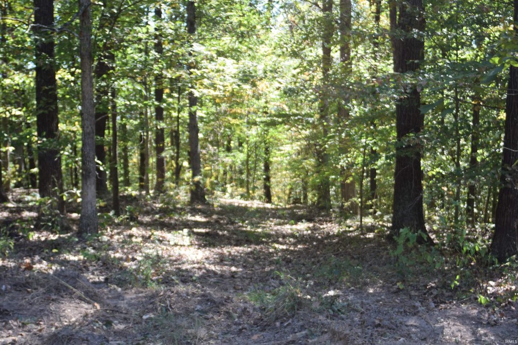 Picture 11