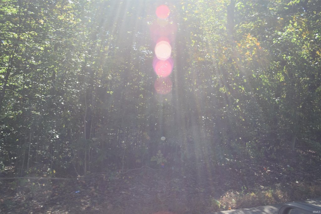 Picture 3