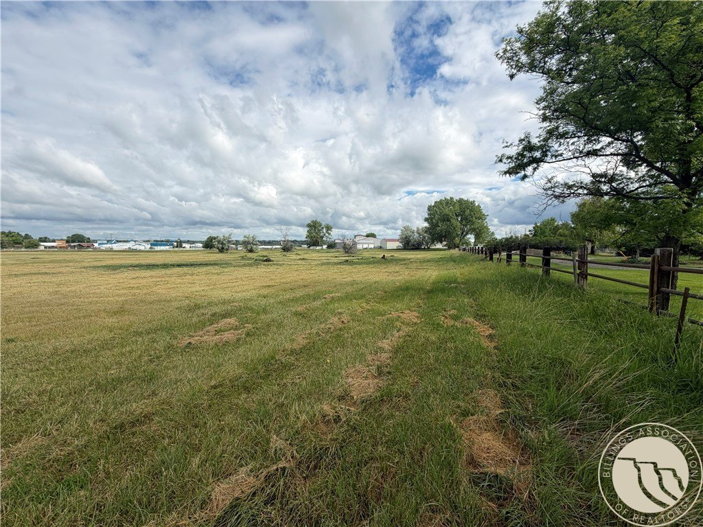 Picture 25