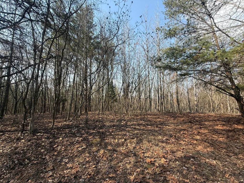 Picture 18