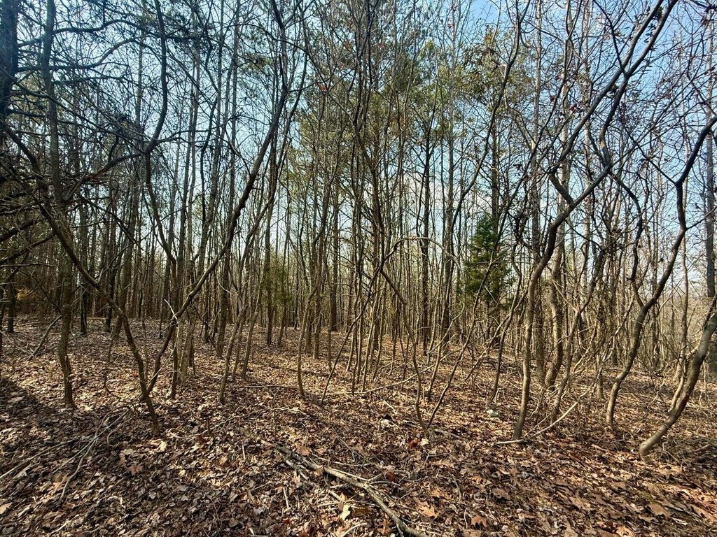 Picture 19