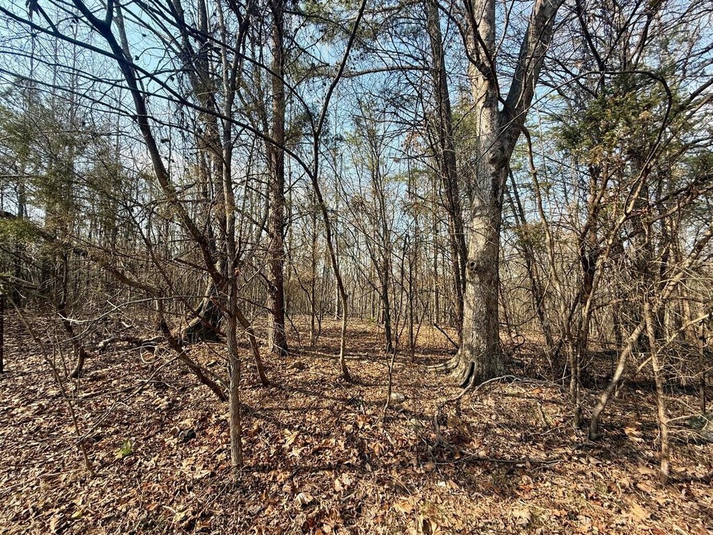 Picture 15
