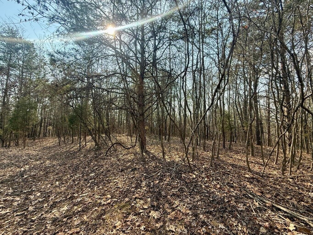 Picture 16