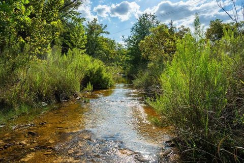 Acreage, Farm & Ranch, Ranch Land,Other-See Remarks - Blanco, TX