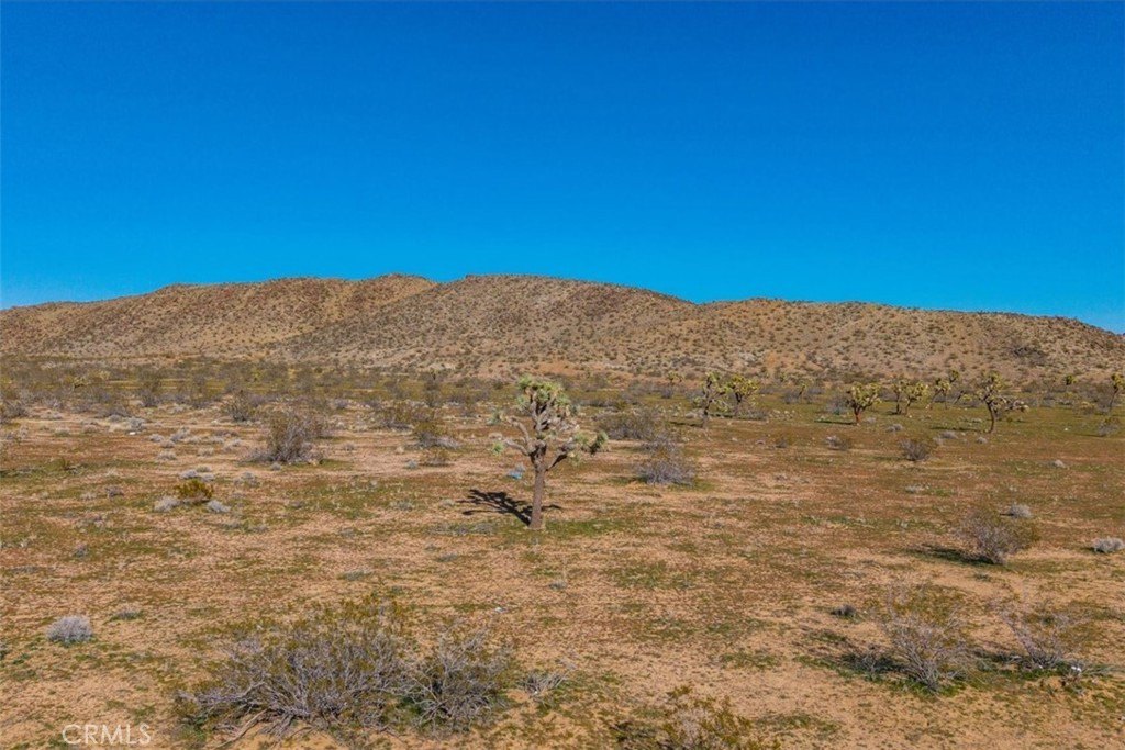 Picture 20