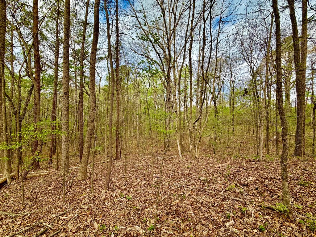 Picture 14