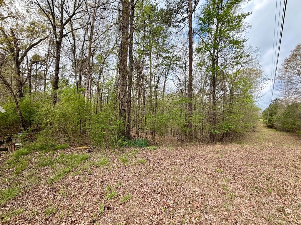 Picture 21