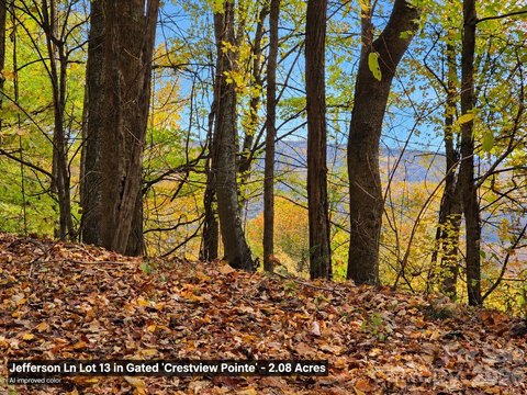 Land, Waynesville, NC