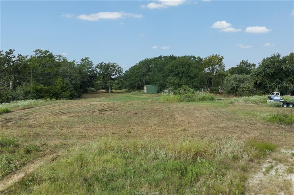Picture 20