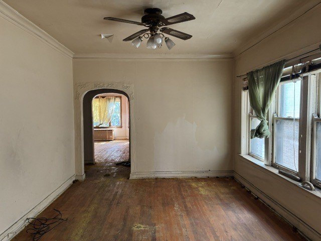 Picture 10