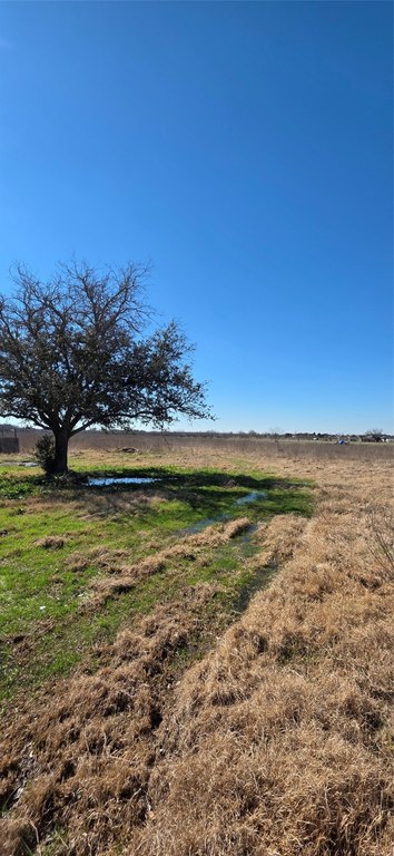 Picture 8