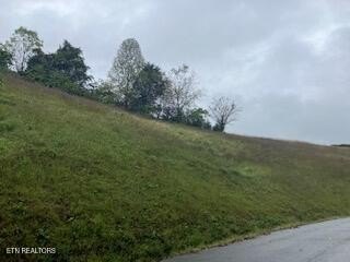 Lots & Acreage, New Tazewell, TN