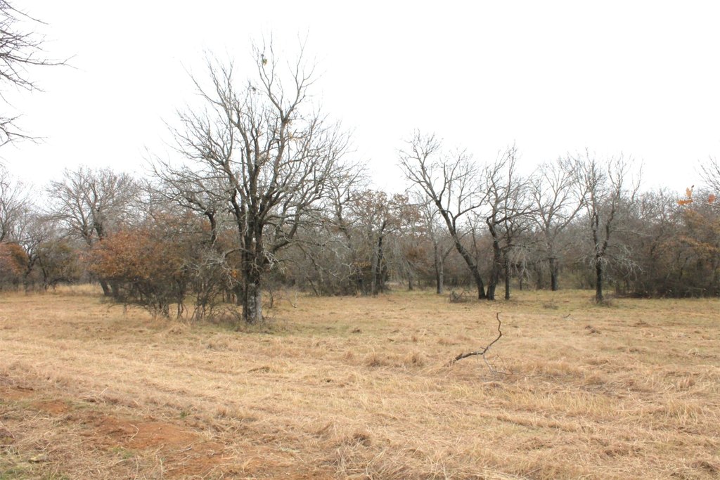 Picture 8