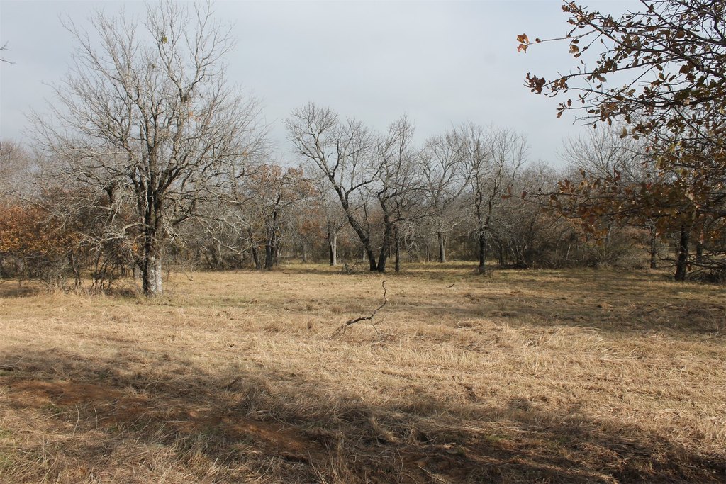 Picture 4