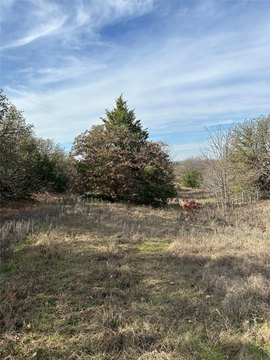 Heavily Wooded Hunting Land Tract