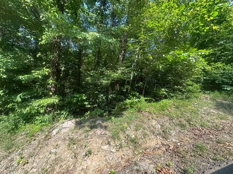 Tennessee Vacant Land Near Dale Hollow