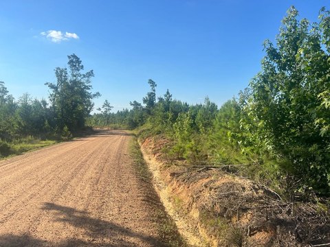 Hunting and Recreation Land Tract